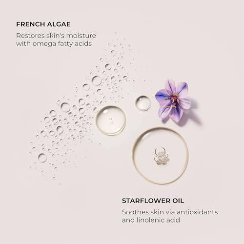 Laura Mercier Serum Body Cream, Moisturizing Serum-Infused, 48HR Hydration, Improves Skin Barrier, Soothes Dry Skin, Shea Butter and Squalane Intensely Nourishes, Ambre Vanille