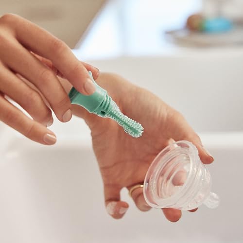 Munchkin® Sponge™ Bottle Brush, 2 Pack, Green