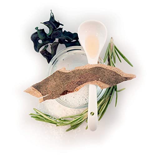 Red Flower Wanderlust Hydrating Hair Wash