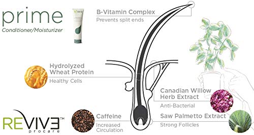 Reviv3 Moisture Conditioner (10.1 Oz (300 ml)) by Revive Procare