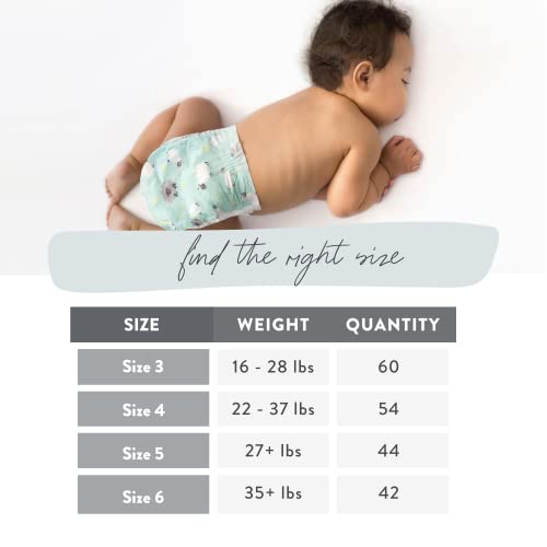 The Honest Company Clean Conscious Overnight Diapers | Plant-Based, Sustainable | Sleepy Sheep | Club Box, Size 6 (35+ lbs), 42 Count
