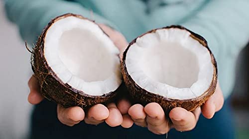 Fractionated Coconut Oil - Pure, Medium Chain Triglycerides, Undiluted, Non-GMO, from Coconut Fruit not Palm, Bulk 128 oz / 1 Gallon - C8 C10, Natural, MCT, Carrier for Skin, Hair, Nails, Body