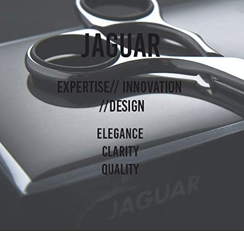Jaguar Prestyle R1M Razor, 1 Supplied