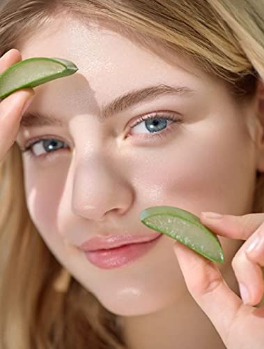 Holika Holika 99% Aloe Soothing Gel, 8.5 Ounce