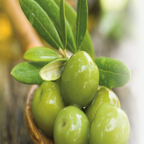 Fruits and Passion's NEW Cucina Regenerating Hand Care Duo Lime Zest & Cypress