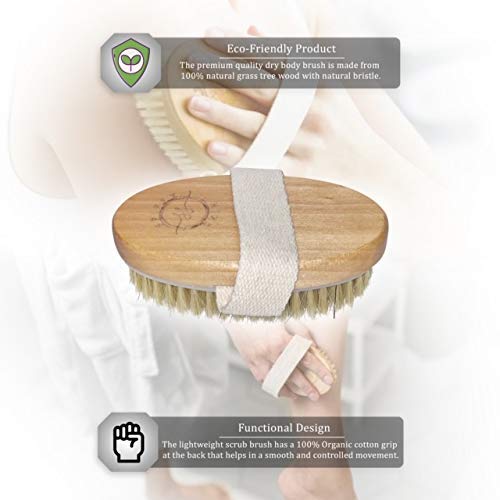 Spiffy Skin Wet and Dry Body Brush Exfoliator - Medium Soft Natural Bristle - Exfoliates Dead Skin - Slows Aging - Reduces Cellulite - Stimulates Lymph and Blood Flow and increases Energy