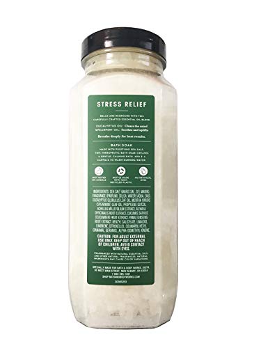 Bath & Body Works Bath & Body Works Aromatherapy Stress Relief Eucalyptus Spearmint 17.0 Oz Bath Soak, 17.0 Oz