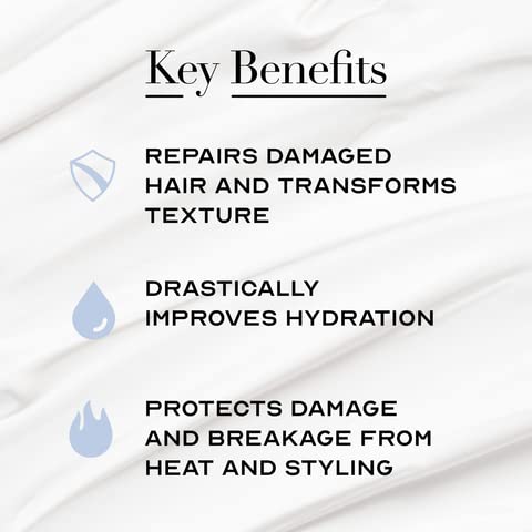 The Cleanest Lab Hair Mask Conditioner Dry Hair. Colored + Damaged + Bleach Hair Repair Treatment. Curly/Straight + Thin & Fine Hair Natural Strengthening. Moisturizing for Health & Volume 8 Fl. Oz.