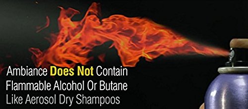 Ambiance Dry Shampoo Refill - Available in 5 Colors - No Tint