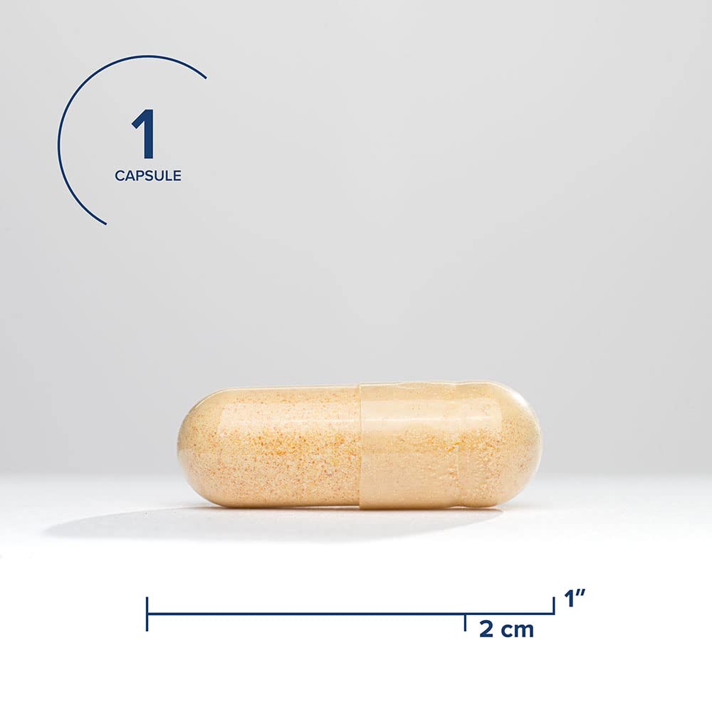 Seeking Health B Complex Plus - Vitamin B Complex Supplement with Choline & Riboflavin - Supports Brain Health, Digestion, & Energy - 100 Capsules