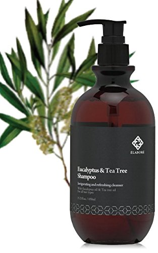 Elabore Eucalyptus & Tea Tree Shampoo & Treatment Set (15.21 fl.oz / 450 ml)