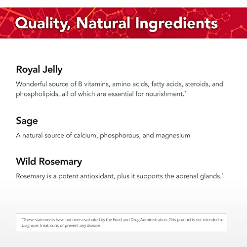 Physician's Strength AdrenoPower - 120 Vegi Capsules - Energy & Adrenal Support - with Royal Jelly, Wild Rosemary, Sage, Camu Camu, Pantothenic Acid - 60 Servings