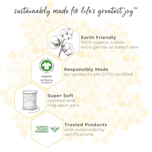 Burt's Bees Baby Baby Beekeeper Wearable Blanket, 100% Organic Cotton, Swaddle Transition Sleeping Bag, Blue, Small