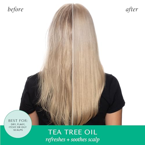 HASK TEA TREE OIL & ROSEMARY Invigorating Shampoo + Conditioner Set for All Hair Types, Color Safe, Gluten-Free, Sulfate-Free, Paraben-Free, Cruelty-Free - 1 Shampoo and 1 Conditioner