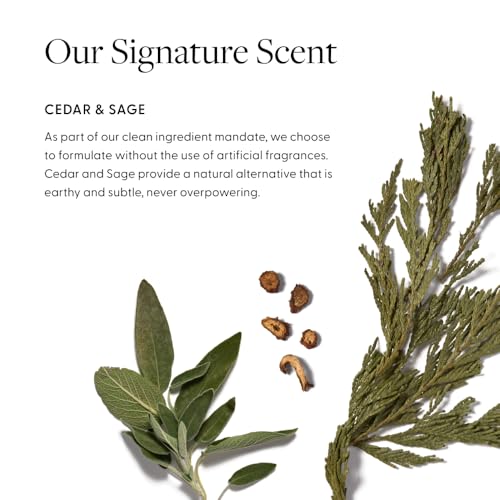 Arey Shower Duo | Wash Shampoo and Smooth Conditioner | Delay + Reduce the Signs of Aging Grey Hair | Retain Moisture, Promote Smoothness | Vegan, Gluten-Free & Cruelty Free (2 Pack, 8.45 Fl Oz each)