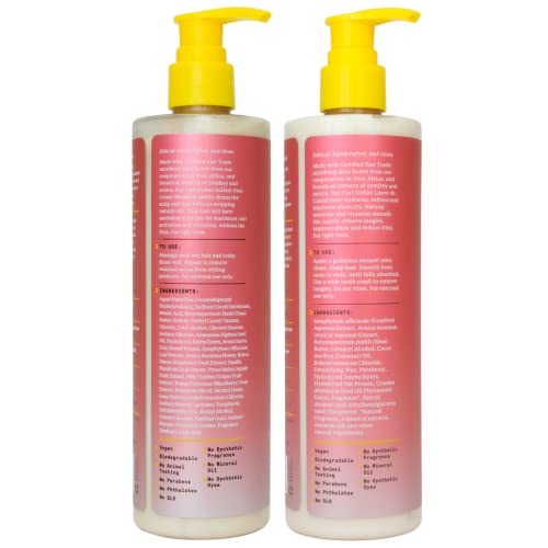 Alaffia Beautiful Curls Define Curly Hair Shampoo and Leave-In Conditioner Set - Paraben-Free, Sulfate-Free, 12 Ounces Each (2)