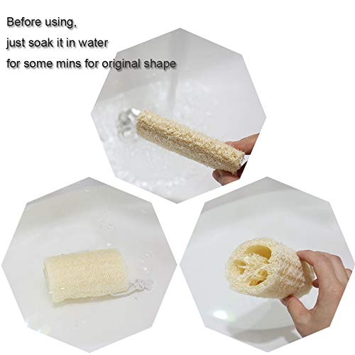 Natural Loofah Exfoliating Body Sponge Scrubber for Skin Care in Bath Spa Shower Pack (5 inch)