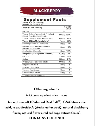 REDMOND Re-Lyte Immunity, Multivitamin Supplement Mix (BlackBerry)