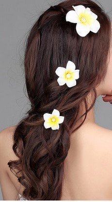 12PCS Women Girls 2.36 Hawaiian Hawaii Bohemia Style Plumeria Foam Flower Hair Clips Decoration Hair Barrette Hairpin For Bridal Wedding Party Beach Holiday (Yellow)
