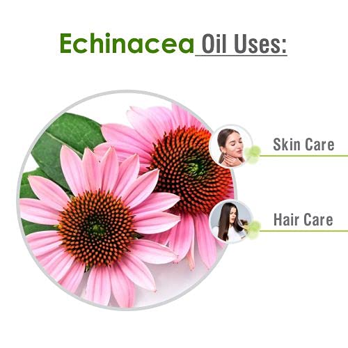 Salvia Echinacea Oil Pure and Natural Echinacea Oil Extract | Hair Care (Clean, Smooth and Silky Hair) | Skin Care (Hydrate, Nourish, Protect Skin) - 30 ML echinacea_30ml