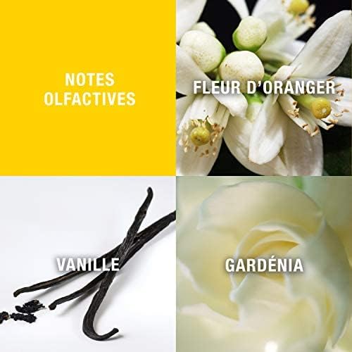 Giorgio Beverly Hills By Giorgio Beverly Hills For Women. Eau De Toilette Spray 3.0-Ounce