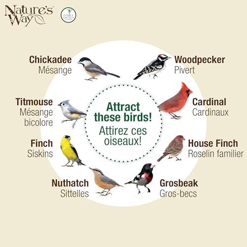 Nature's Way Cobalt Metal Mesh Mixed Seed and Peanut Bird Feeder for Wild Birds and Outdoor Décor, 2 Quart Capacity, Easy to Clean and Fill with Easy-Cling Mesh, Blue