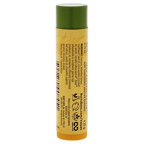 Hemp Moisturizing Lip Balm by Burts Bees for Unisex - 0.15 oz Lip Balm