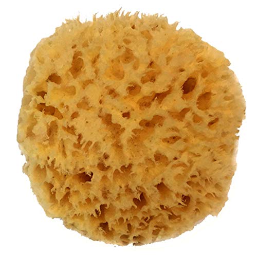 Natural Sea Wool Sponge 4-5 by Spa Destinations Amazing Natural Renewable Resource Creating The In Perfect Bath and Shower Experience 100% Satisfaction Guarantee!