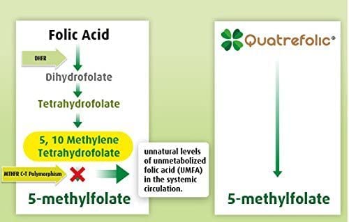 Bplex-Pro Advanced Blend MTHFR with 1000 mcg Quatrefolic. 1500 mcg Methylcobalamin with Amino Acids to Aid in Detox. Intrinsic Factor for B12 Absorption. 60 Veggie Capsules.