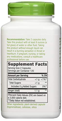 Nature's Way Nature's Way Premium Herbal Ginger Root, 1,100 Mg Per Serving, 240 Vcaps, 240 Count (Pack of 12)
