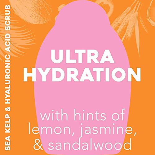 OGX Hydration + Sea Kelp & Hyaluronic Acid Sulfate-Free Lightly Moisturizing Body Scrub with Black Rice, Gentle Exfoliating Daily Body Wash to Soften & Smooth Skin, 19.5 Fl Oz (pack of 3)