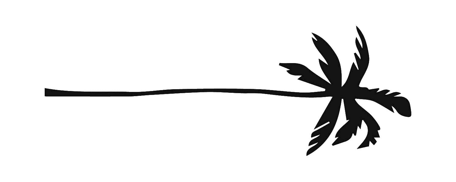 Inkbox Temporary Tattoos, Semi-Permanent Tattoo, One Premium Easy Long Lasting, Water-Resistant Temp Tattoo with For Now Ink - Lasts 1-2 Weeks, Palm Tree Tattoo, Elma, 5 x 2 in