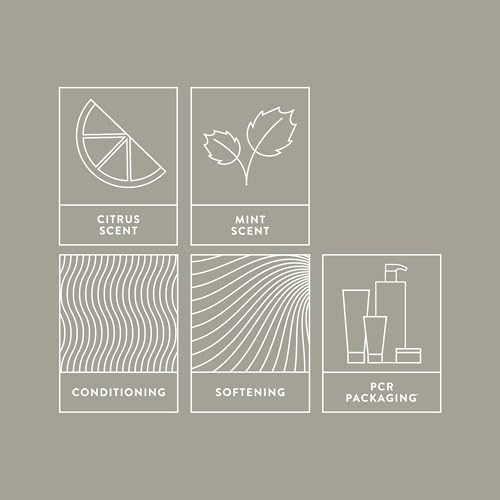 MITCH by Paul Mitchell Double Hitter 2-in-1 Shampoo and Conditioner for Men, For All Hair Types, 33.8 fl. oz.