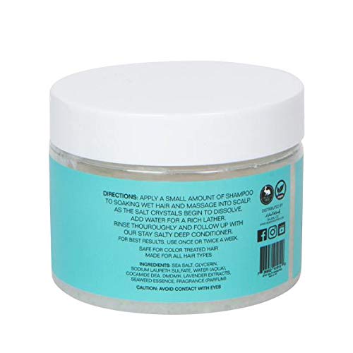 Head Kandy Stay Salty Sea Salt Purifying & Detoxifying Shampoo | Safe for Colored Treated Hair | Seaweed For Hydration, Volume & Shine | 12 oz