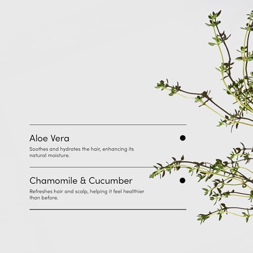 LATHER - Mint Thyme Hair Wash, 8 fl oz - Daily Shampoo & Cleanser - Revitalize Hair - Aloe, Chamomile, Cucumber - Sensitive Skin Safe - Hotel Approved - Vegan & Cruelty Free - Beauty & Hair Care