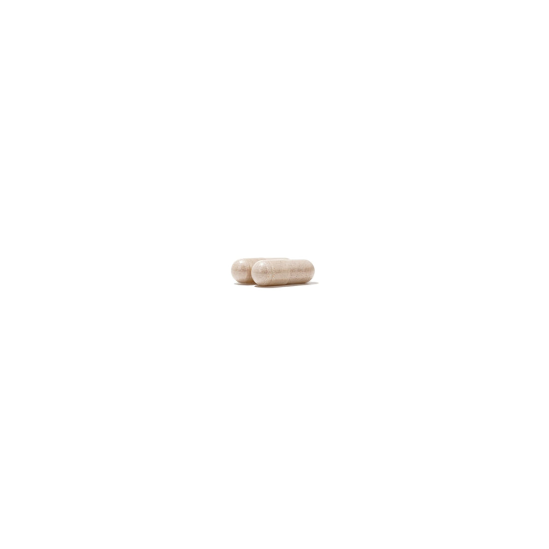 NatureWise Multivitamin for Men + Stress Support + Fulvic Ionic Minerals + Probiotics for Immunity, Male Health, Digestion + Whole Organic Foods - Vegetarian, Non-GMO - 60 Capsules[1-Month Supply]