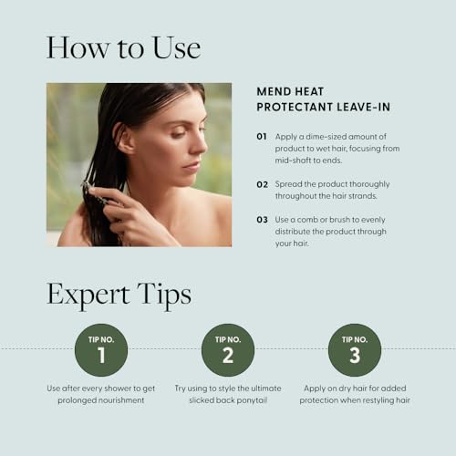 Arey Mend Heat Protectant Leave-In Conditioner | Detangles, Rehydrates, Strengthens and Protects Hair up to 450°F | Vegan, Cruelty-Free & Gluten-Free (2 Fl Oz)