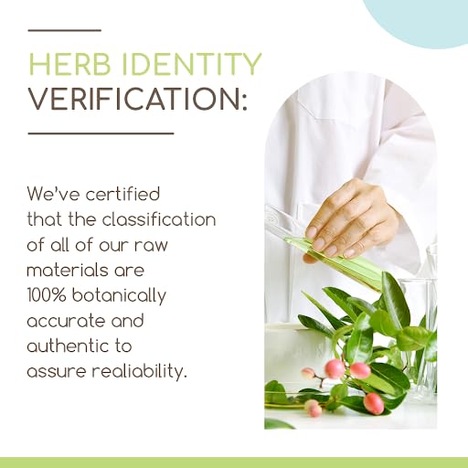 Bromelain B120 Alcohol-Free Herbal Extract Tincture, Super-Concentrated Wildcrafted Bromelain, Pineapple (Ananas comosus) (4 fl oz)