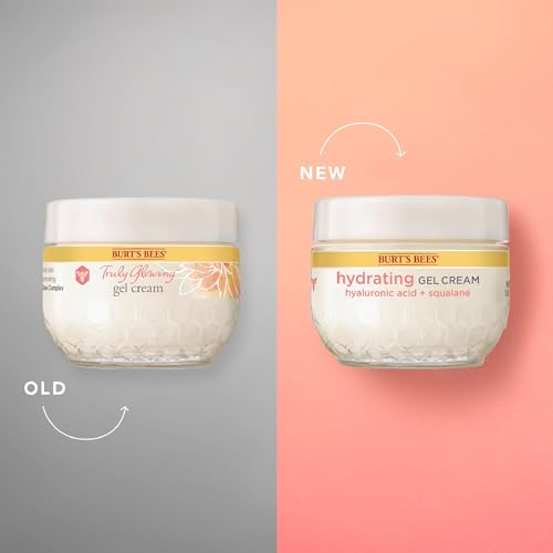 Burt's Bees Truly Glowing Replenishing Gel Cream, Moisturizer with Hydrate and Glow Complex for Normal and Combination Skin, 1.8 Fluid Ounces