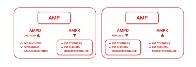 Eternity Medicine Rx Magnificent 7 – Advanced Cellular Health & Anti-Aging Supplement – 90 Capsules