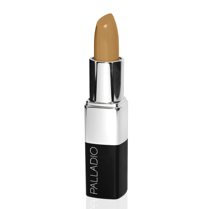 Palladio Treatment Concealer, Dark