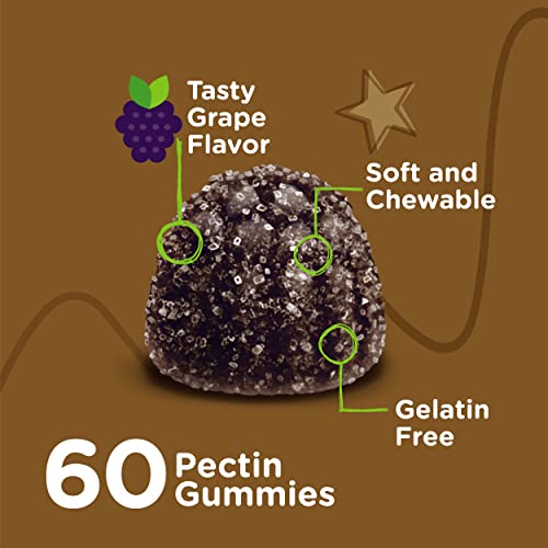 Iron Gummies for Kids with Vitamin C - Supports Energy, Blood Cell Formulation, Blood Builder Anemia Kids Iron Supplements - Vegan, Gelatin Free, Gluten Free - Tasty Chewable Grape Flavored Gummy