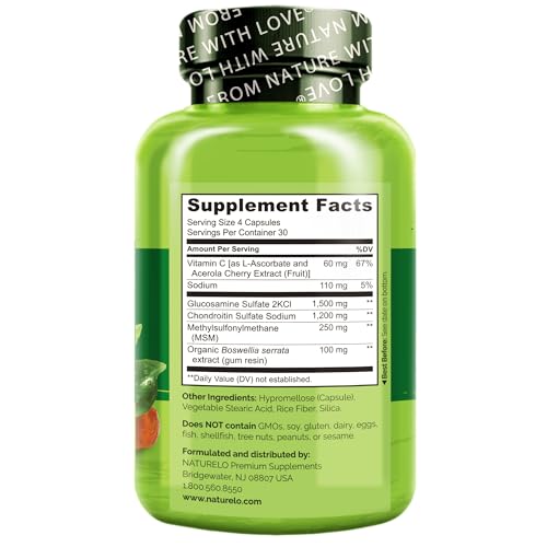 NATURELO Glucosamine Chondroitin MSM with Boswellia and Vitamin C - Joint Support Supplement - 120 Capsules
