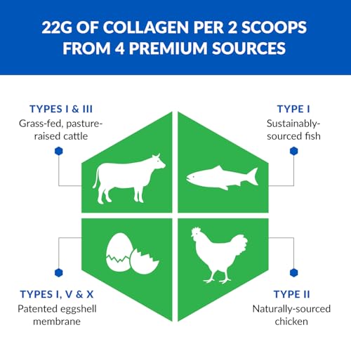BioTrust Ageless Multi Collagen Peptides Powder – 5 Types (I, II, III, V, X) – Unflavored Collagen Powder for Women & Men – Hydrolyzed Protein – Grass Fed Beef, Fish, Chicken, Eggshell Membrane, 3-pk