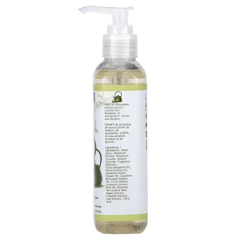 SOUTH OF FRANCE Green Tea Hand Wash, 8 Ounce