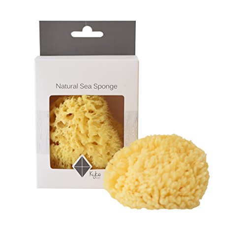 Kyte BABY Natural Sea Sponge Harvested from The Gulf of Mexico, 4 to 5 Inches