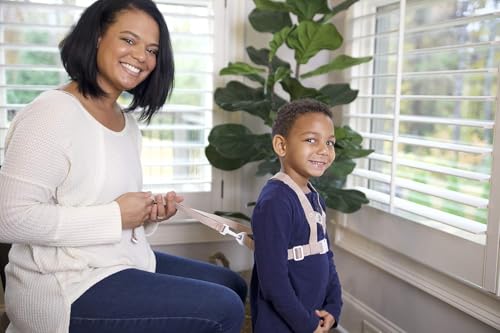 Baby Buddy Deluxe Safety Harness, with Adjustable Tether and Chair Restraint Straps, for Ages 9 Months to 4 Years, Black, 4 Piece Set