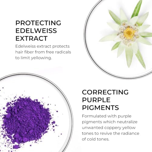 Phyto Purple No Yellow Shampoo - Colour Depositing Purple Shampoo, Anti Brass Toning Shampoo Neutralizes Yellow Tones and Enhances Shine|250 ml