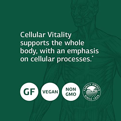 Standard Process Inc. B Vitality with CoQ10 - Supports Cellular Processes with Thiamine,Biotin,CoQ10, Vitamin B12,Riboflavin, Niacin,Vitamin B6,Folic Acid,Pantothenic Acid,Ginseng - 90 Capsules