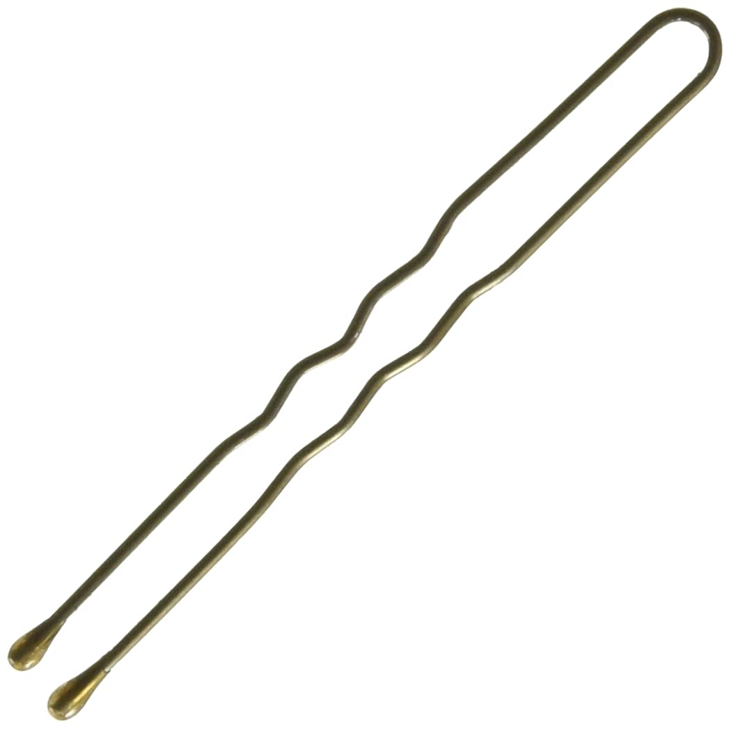 Soft 'n Style 2 Hair Pins / Bronze / 1/2 Pound (HP65-BR)